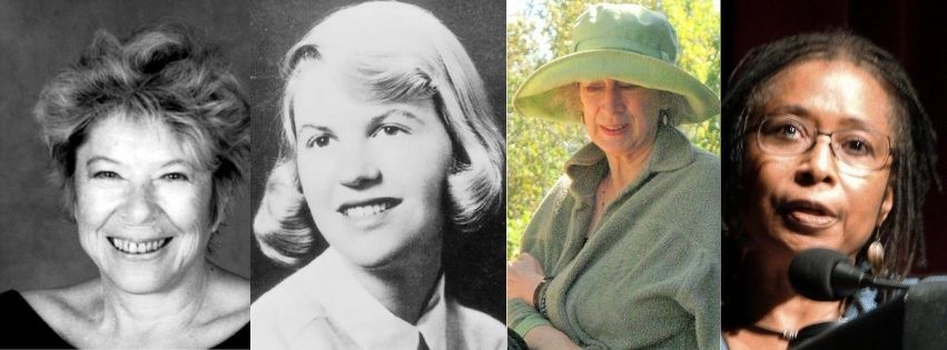 Literatursalon im Herbst 2026: Nordamerikanische Literatur von Frauen in den 60er-80er Jahren